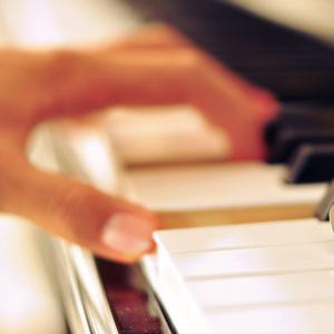 免费AV无码网站
