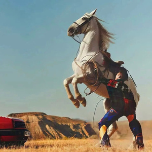 免费AV无码网站
