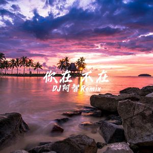 免费AV无码网站
