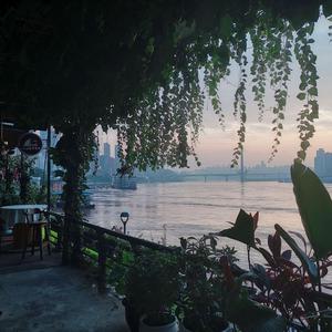 免费AV无码网站
