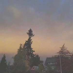 免费AV无码网站
