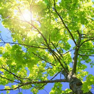 免费AV无码网站
