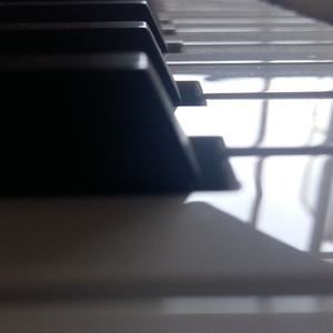 免费AV无码网站
